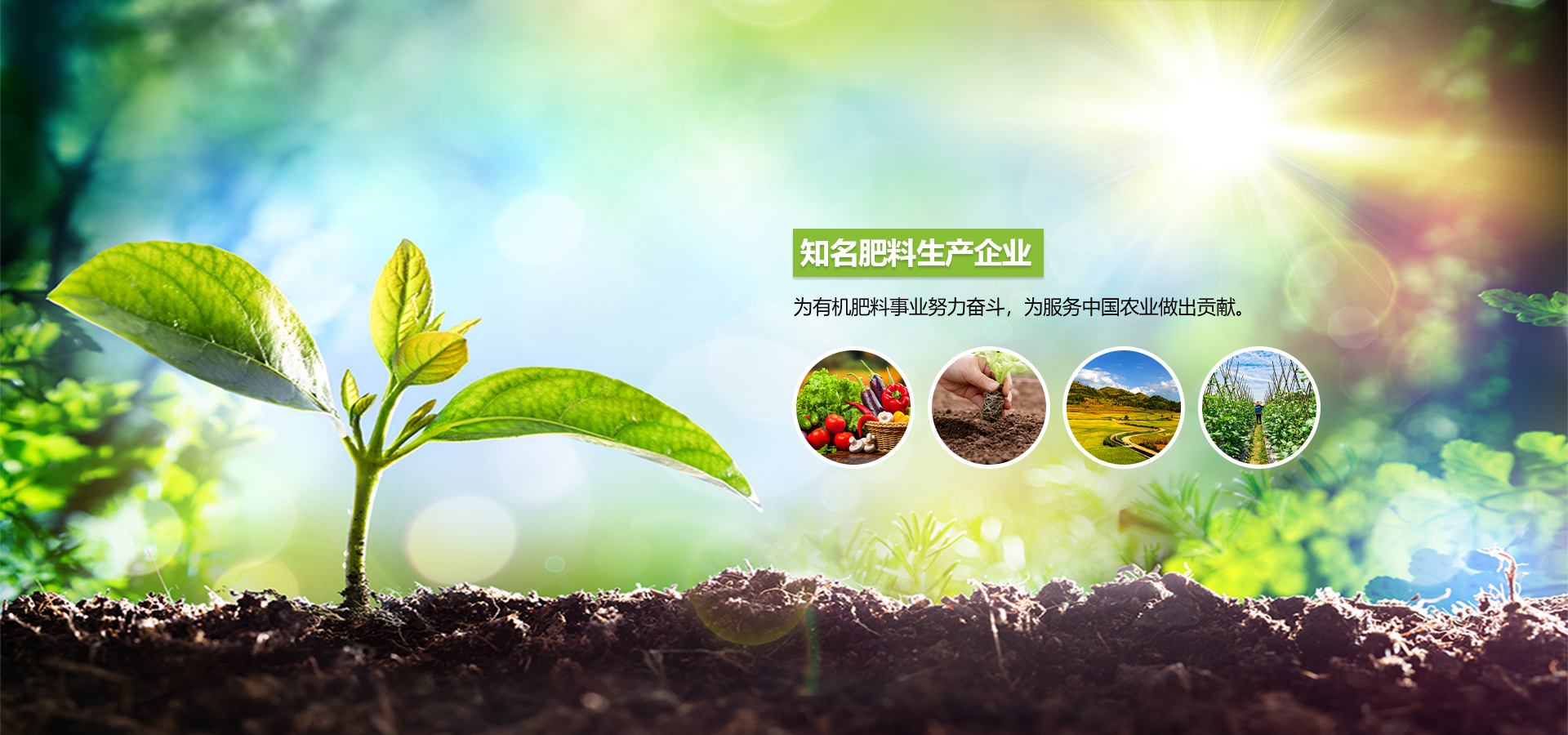 云南祥農(nóng)十八長生物科技有限公司